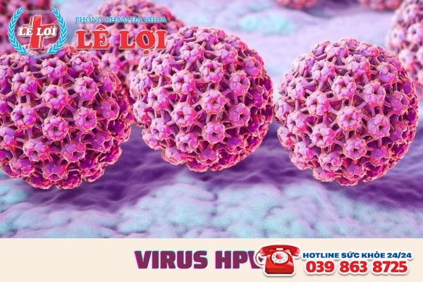 Virus HPV là loại virus gây u nhú nguy hiểm ở người