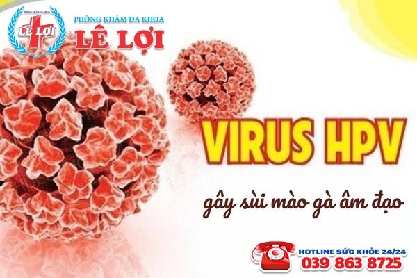 Sùi mào gà ở âm đạo do virus HPV gây ra