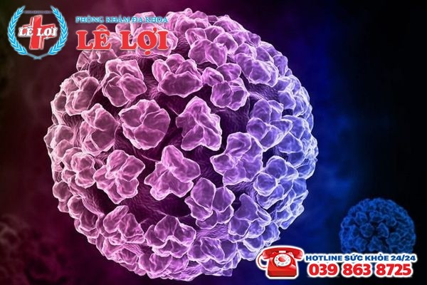 Virus HPV là gì? Tìm hiểu về Virus HPV