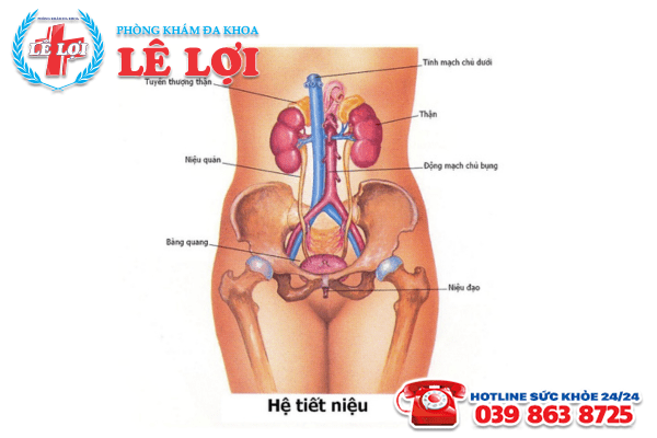 Biểu hiện viêm đường tiểu ở nữ là gì?